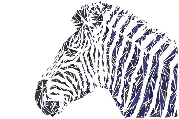 Cristian Mielu: Zebra by Cristian Mielu