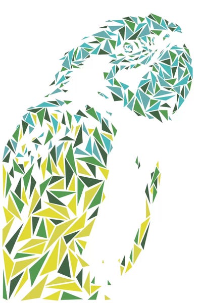 Ara Parrot by Cristian Mielu art print