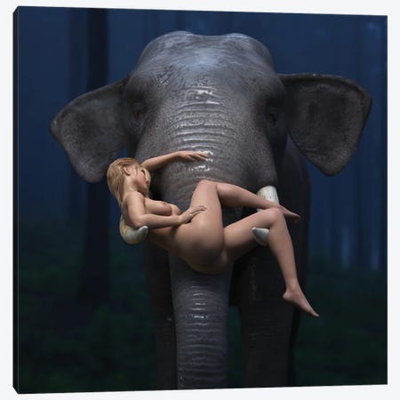 Elephant Carries A Young Woman Canvas Print #MII100} by Mike Kiev Canvas Print