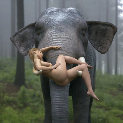 Wild Elephant Carries A Young Woman by Mike Kiev art print