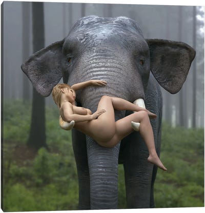 Wild Elephant Carries A Young Woman Canvas Art Print - Mike Kiev
