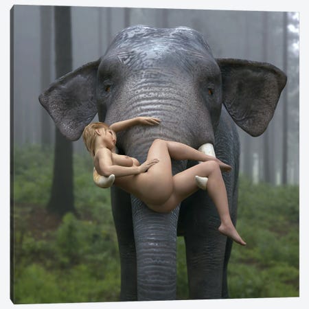 Wild Elephant Carries A Young Woman Canvas Print #MII101} by Mike Kiev Canvas Art Print