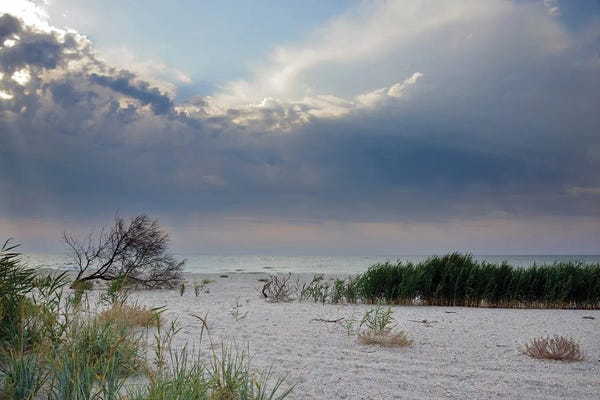 Mike Kiev: Deserted Coast Of The Black Sea I by Mike Kiev