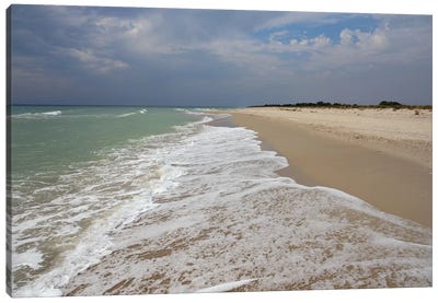 Deserted Coast Of The Black Sea II Canvas Art Print - Beach Lover