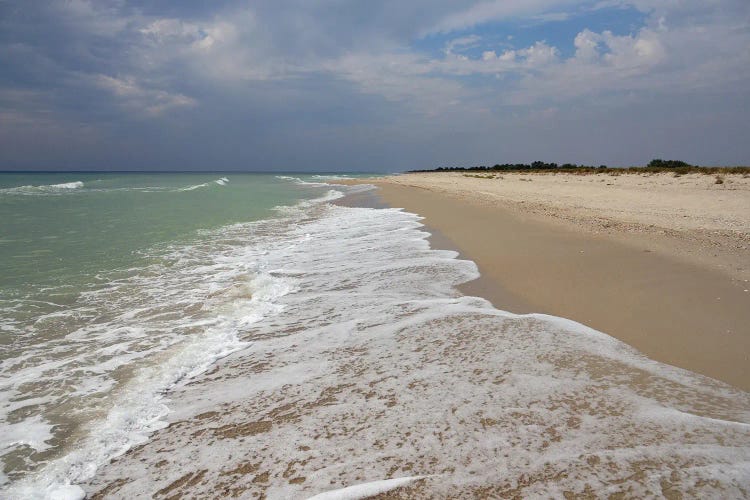 Deserted Coast Of The Black Sea II