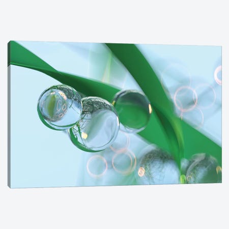 Drops Of Dew On Leaves Of Grass II Canvas Print #MII10} by Mike Kiev Canvas Artwork