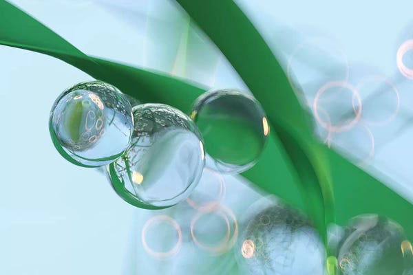 Mike Kiev: Drops Of Dew On Leaves Of Grass II by Mike Kiev