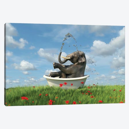 Elephant Relaxing In A Bath In The Meadow Canvas Print #MII135} by Mike Kiev Art Print