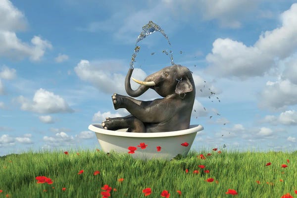 Elephant Relaxing In A Bath In The Meadow