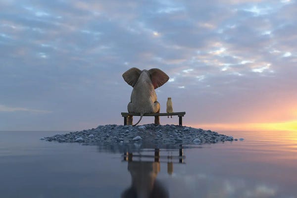Mike Kiev: Elephant And Dog Sit On A Small Island by Mike Kiev