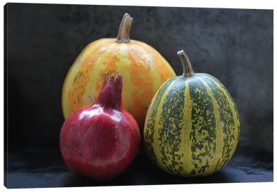 Pomegranate And Pumpkins On Black I Canvas Art Print - Pumpkins