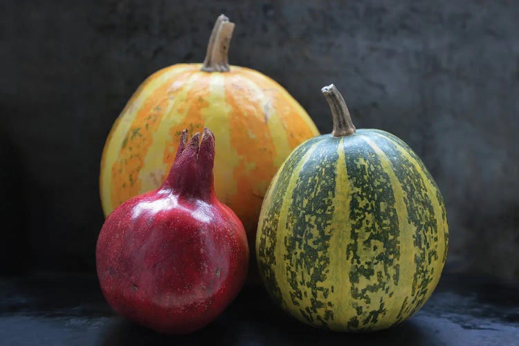 Pomegranate And Pumpkins On Black I