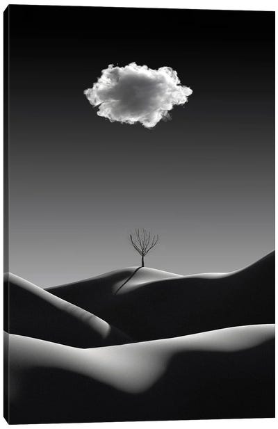 Black And White Minimalist Landscape With White Cloud Canvas Art Print - Mike Kiev
