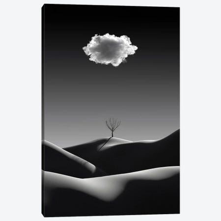 Black And White Minimalist Landscape With White Cloud Canvas Print #MII166} by Mike Kiev Canvas Artwork
