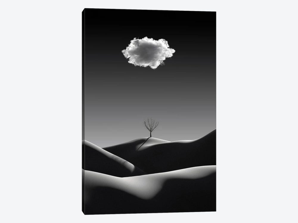 Black And White Minimalist Landscape With White Cloud by Mike Kiev 1-piece Canvas Print