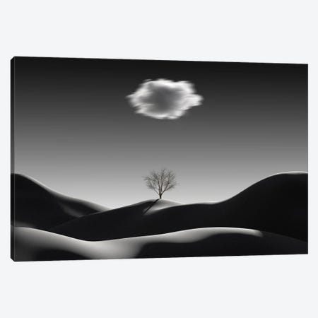 Minimalist Landscape With Blurred Cloud Canvas Print #MII168} by Mike Kiev Canvas Print