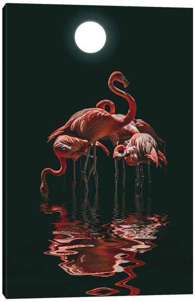 Flamingo On A Moonlit Night Canvas Art Print - Mike Kiev