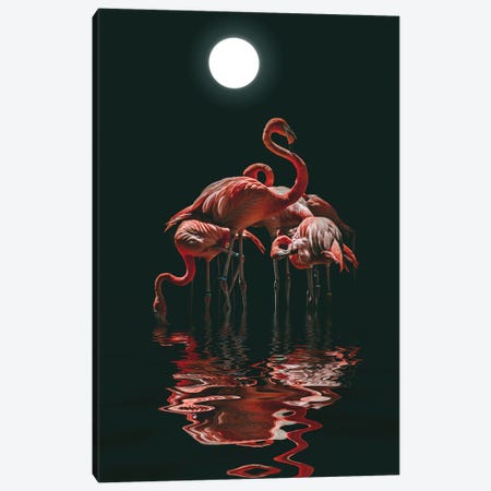 Flamingo On A Moonlit Night Canvas Print #MII176} by Mike Kiev Art Print