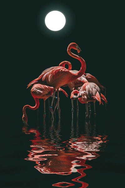 Flamingos: Flamingo On A Moonlit Night by Mike Kiev