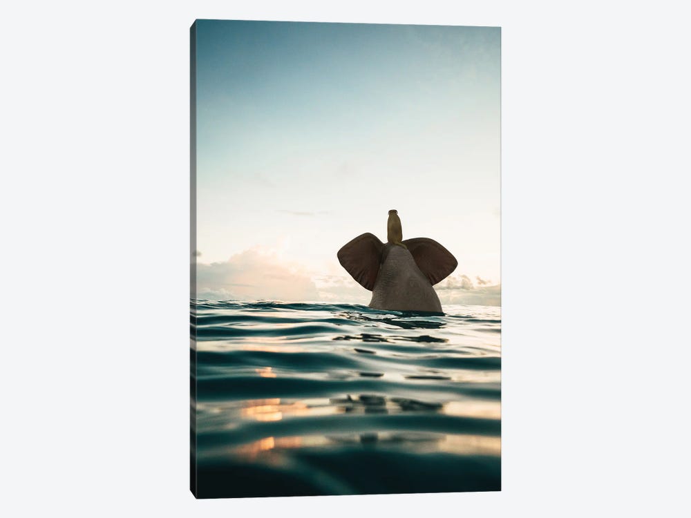 Elephant And Dog Swim In The Sea by Mike Kiev 1-piece Canvas Print