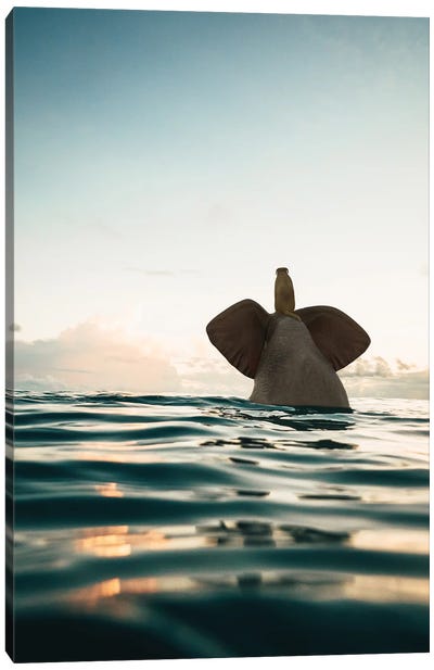 Elephant And Dog Swim In The Sea Canvas Art Print - Mike Kiev