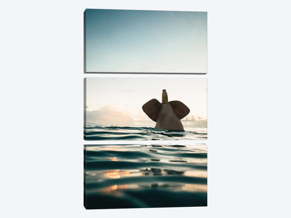 Elephant And Dog Swim In The Sea by Mike Kiev 3-piece Canvas Art Print