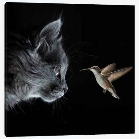 Cat And Hummingbird Met In The Dark Canvas Print #MII181} by Mike Kiev Art Print