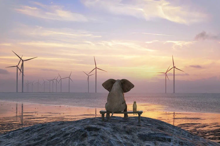 Elephant And Dog Sit On The Shore And Look At The Wind Turbine Field