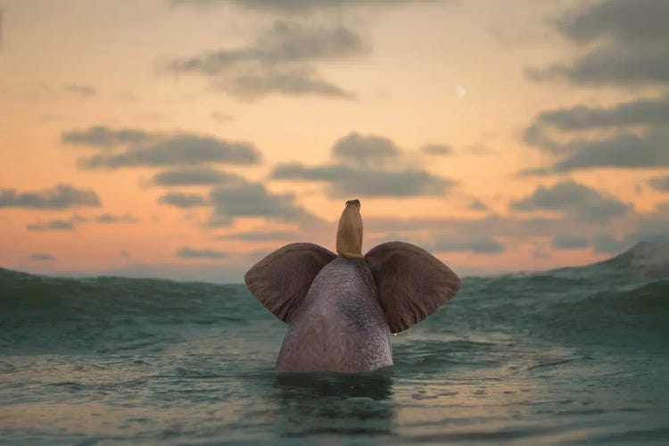 Elephant And Dog Swim In The Sea II