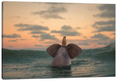 Elephant And Dog Swim In The Sea II Canvas Art Print - Mike Kiev