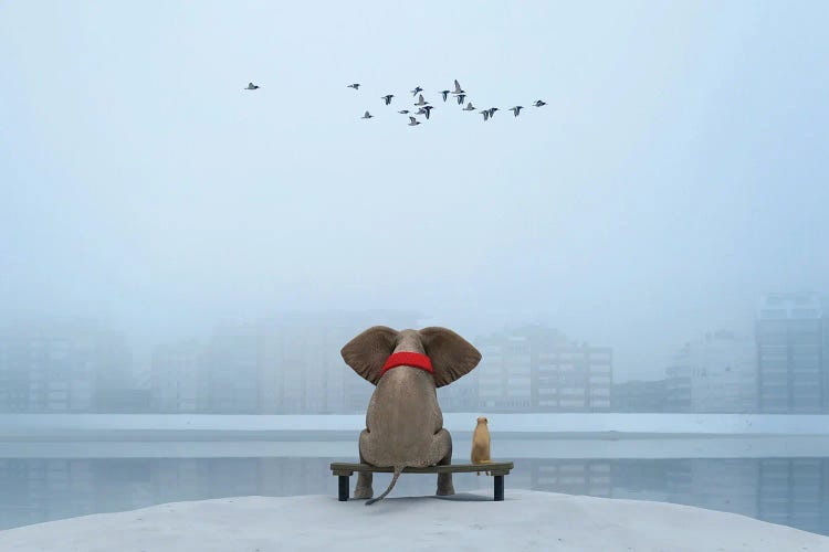 Elephant And Dog Sit On The River Bank In Winter