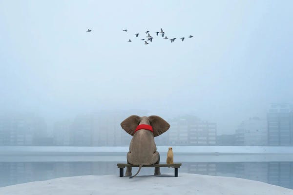 Elephant And Dog Sit On The River Bank In Winter