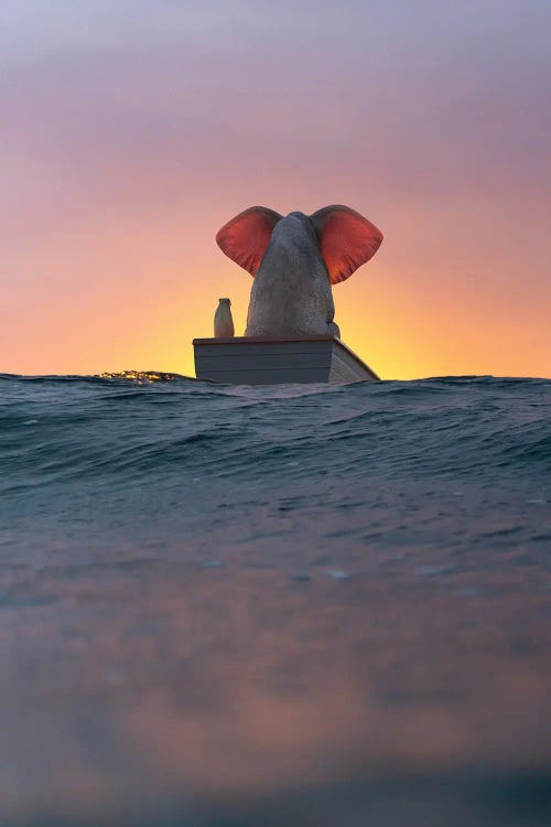 Elephant And Dog Sail In A Boat On The Sea Wave