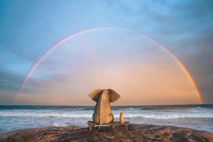 Elephant And Dog Sit On The Beach And Look At The Rainbow