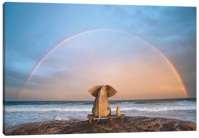 Elephant And Dog Sit On The Beach And Look At The Rainbow Canvas Art Print - Rain Inspired