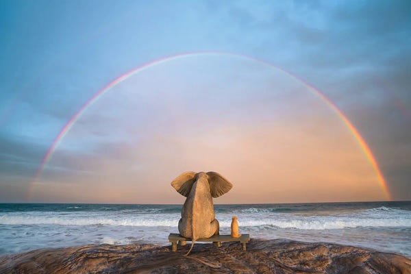 Rainbows