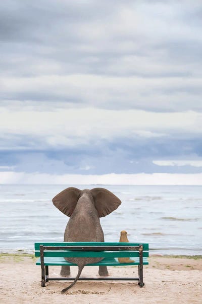 Mike Kiev: Elephant And Dog Sit On A Bench By The Sea II by Mike Kiev
