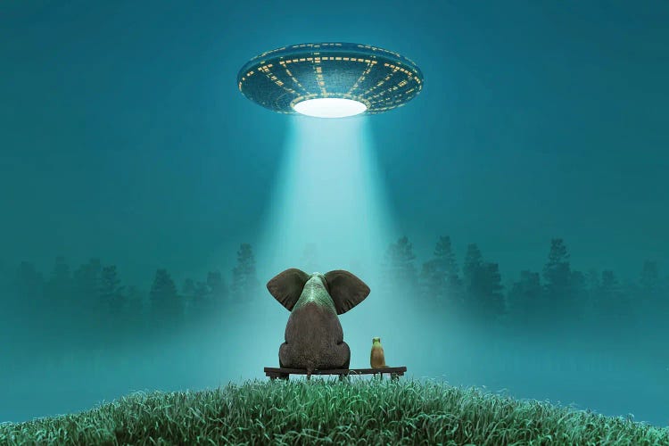 Elephant And Dog Look At A Flying Saucer