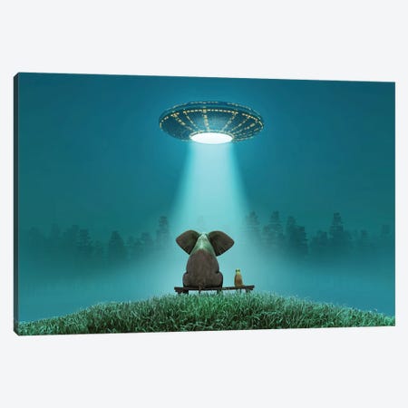 Elephant And Dog Look At A Flying Saucer Canvas Print #MII199} by Mike Kiev Canvas Art