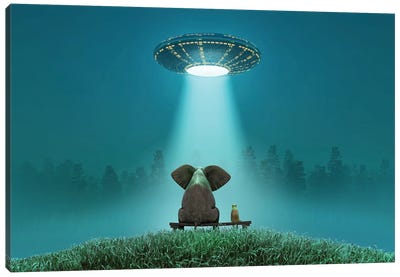 Elephant And Dog Look At A Flying Saucer Canvas Art Print - Mike Kiev
