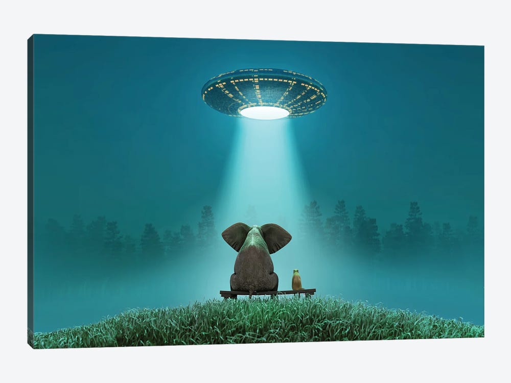 Elephant And Dog Look At A Flying Saucer by Mike Kiev 1-piece Art Print