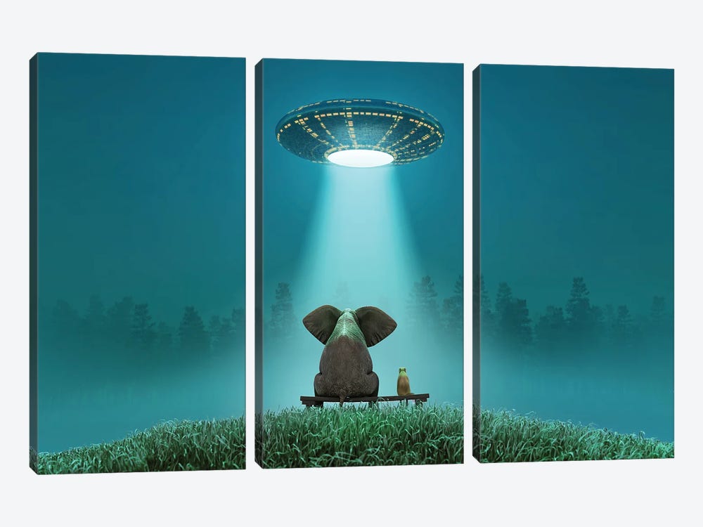 Elephant And Dog Look At A Flying Saucer by Mike Kiev 3-piece Art Print