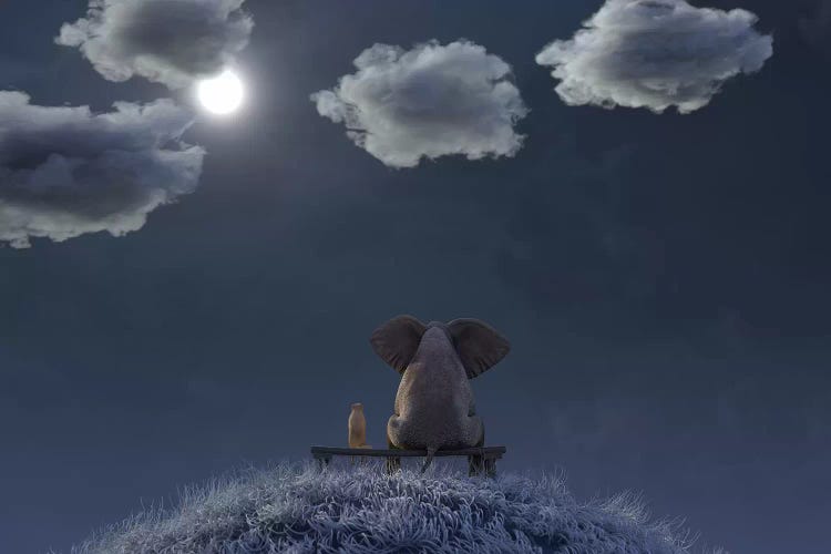 Elephant And Dog Are Sitting On A Meadow On A Moonlit Night by Mike Kiev wall art