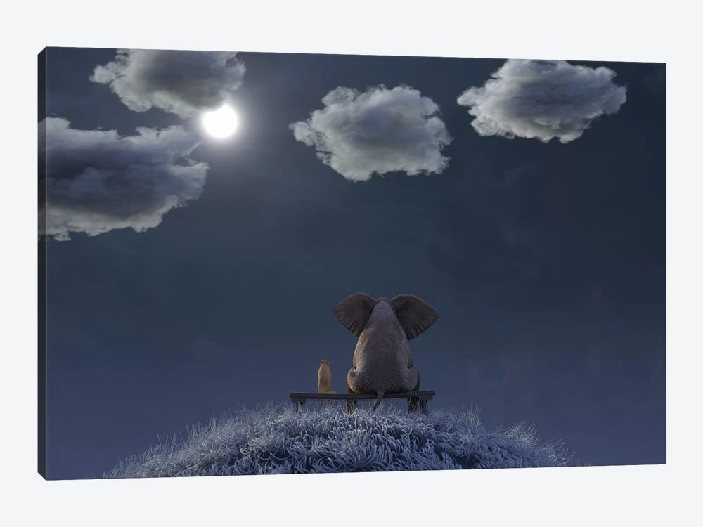 Elephant And Dog Are Sitting On A Meadow On A Moonlit Night by Mike Kiev 1-piece Canvas Artwork