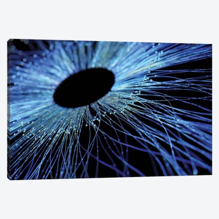Abstract Fibre Structure Canvas Print #MII1} by Mike Kiev Canvas Art