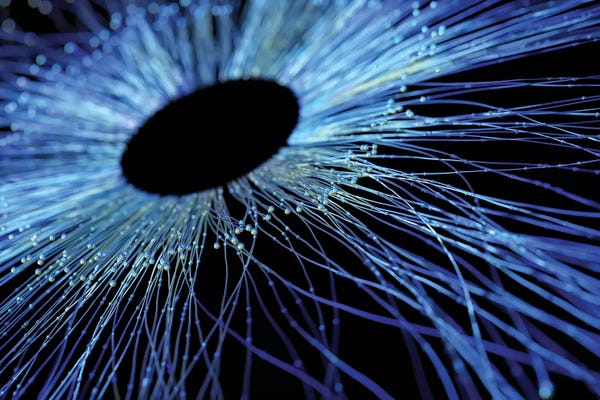 Abstract Photography: Abstract Fibre Structure by Mike Kiev