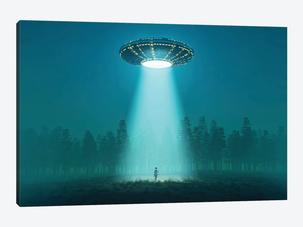 Flying Saucer At Night by Mike Kiev 1-piece Art Print