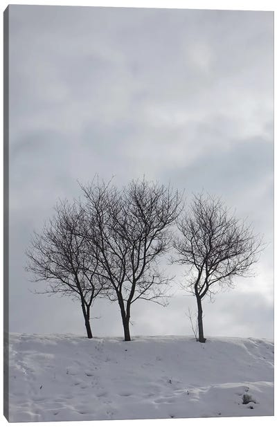 Three Bare Trees On A Snowy Hill Canvas Art Print - Mike Kiev