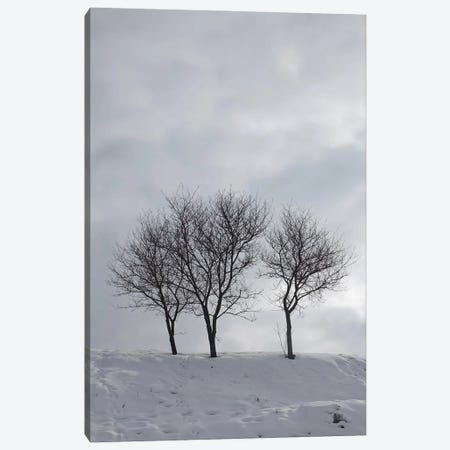 Three Bare Trees On A Snowy Hill Canvas Print #MII202} by Mike Kiev Canvas Art