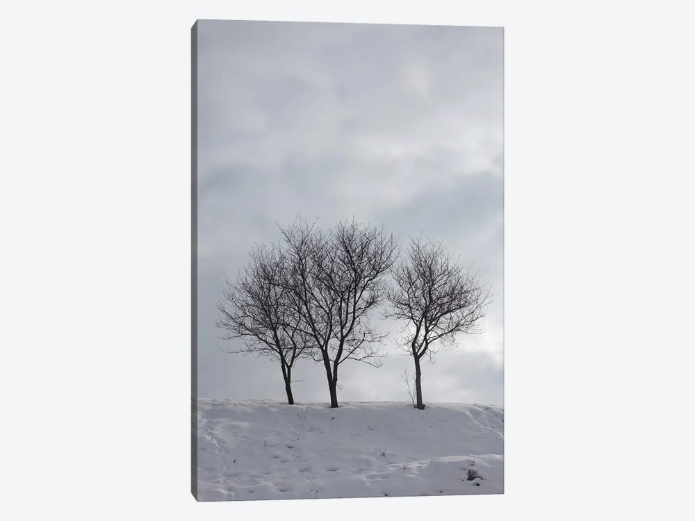 Three Bare Trees On A Snowy Hill by Mike Kiev 1-piece Canvas Print